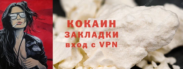 крисы Белоозёрский