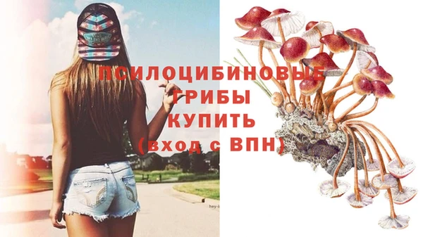 не бодяженный Беломорск