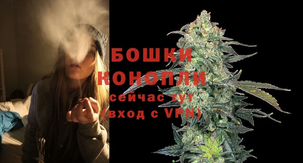 крисы Белоозёрский