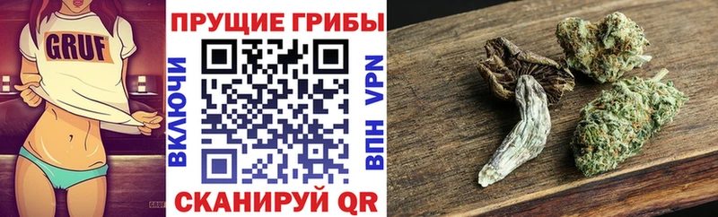 наркотики  Колпашево  Галлюциногенные грибы Cubensis 