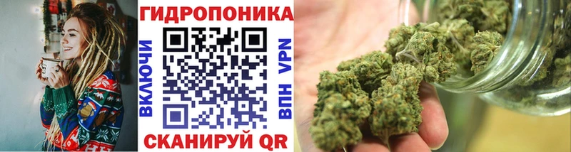 Бошки Шишки MAZAR Колпашево